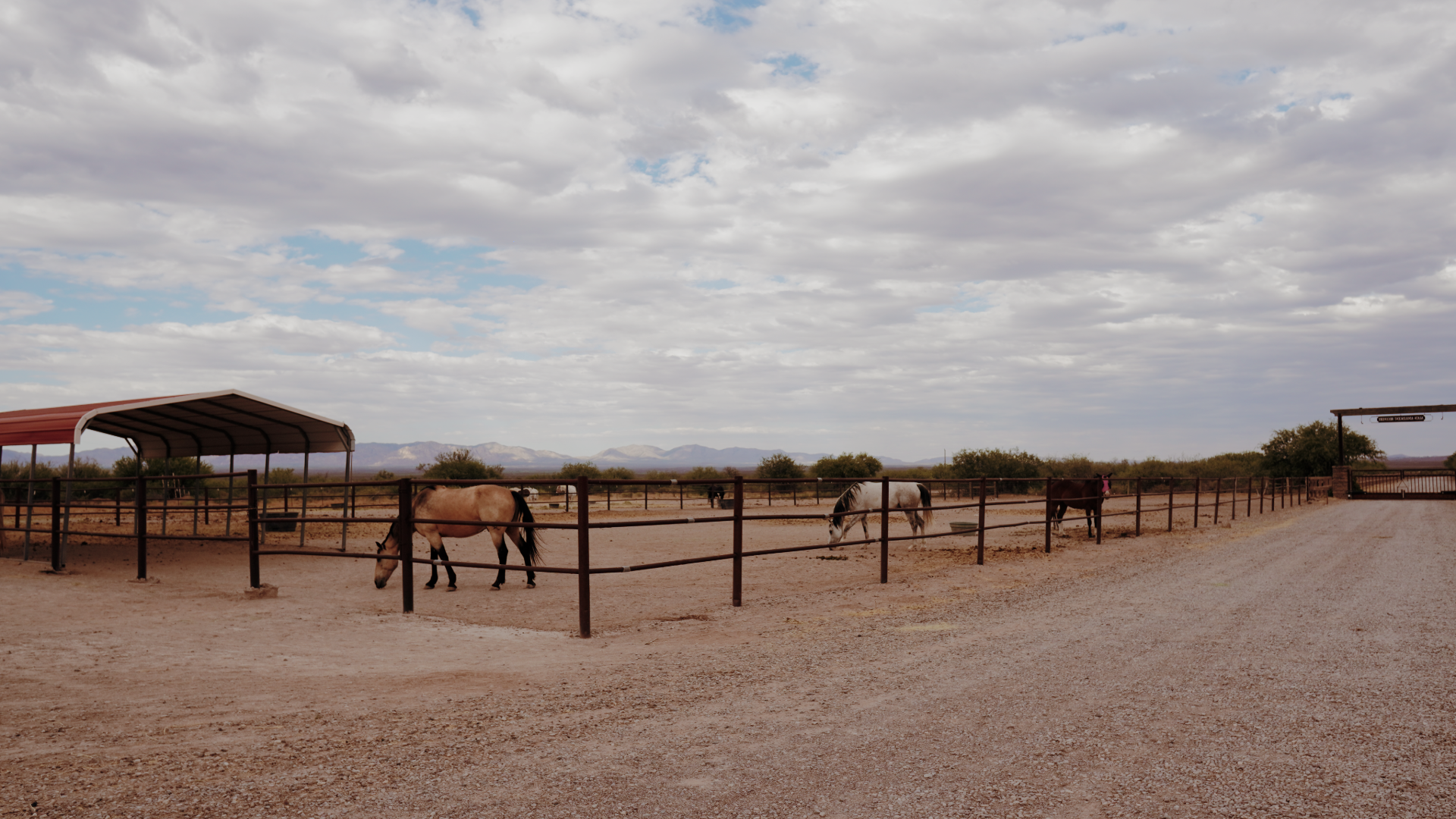 26-ALN-0083-Website-Campus Tour-3