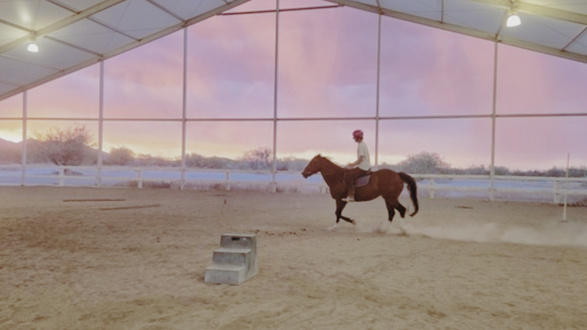26-ALN-0083-Website-Campus Tour-32