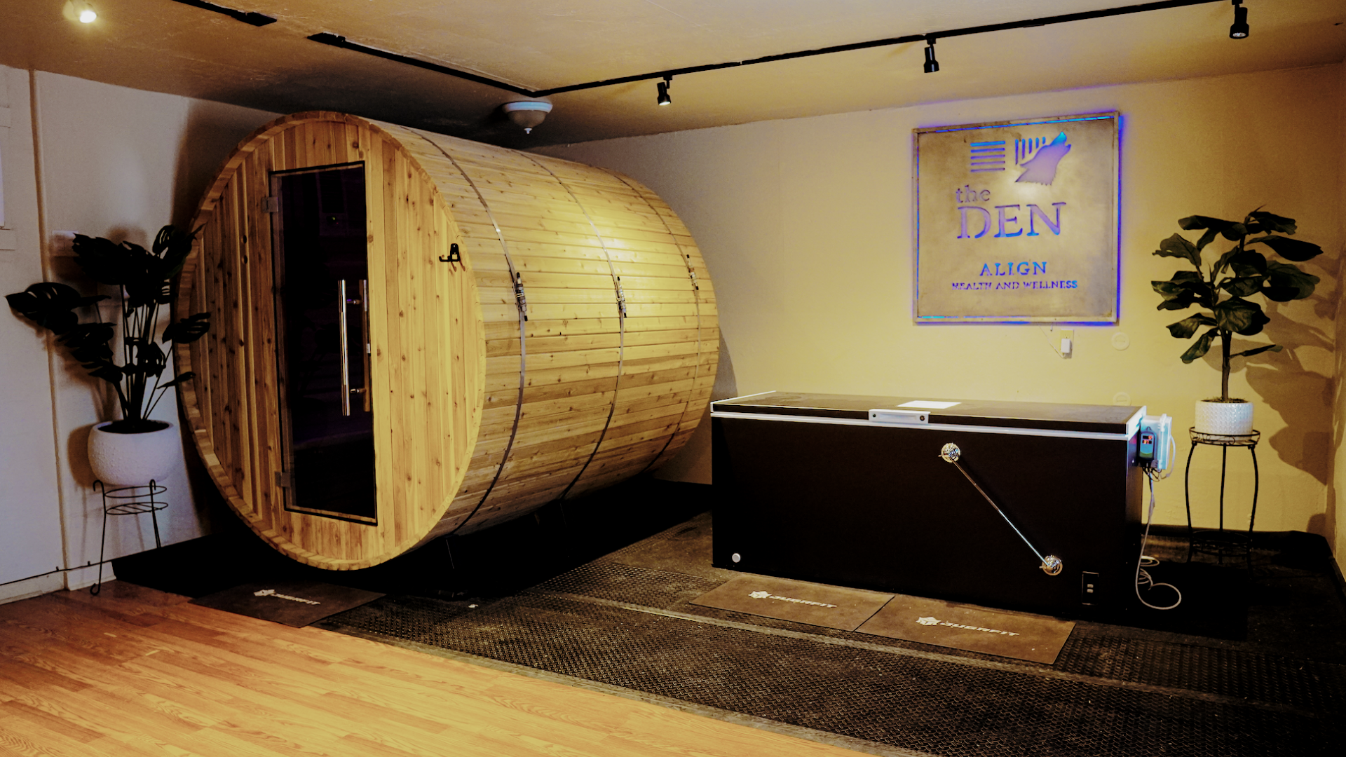 ALN Gallery-5