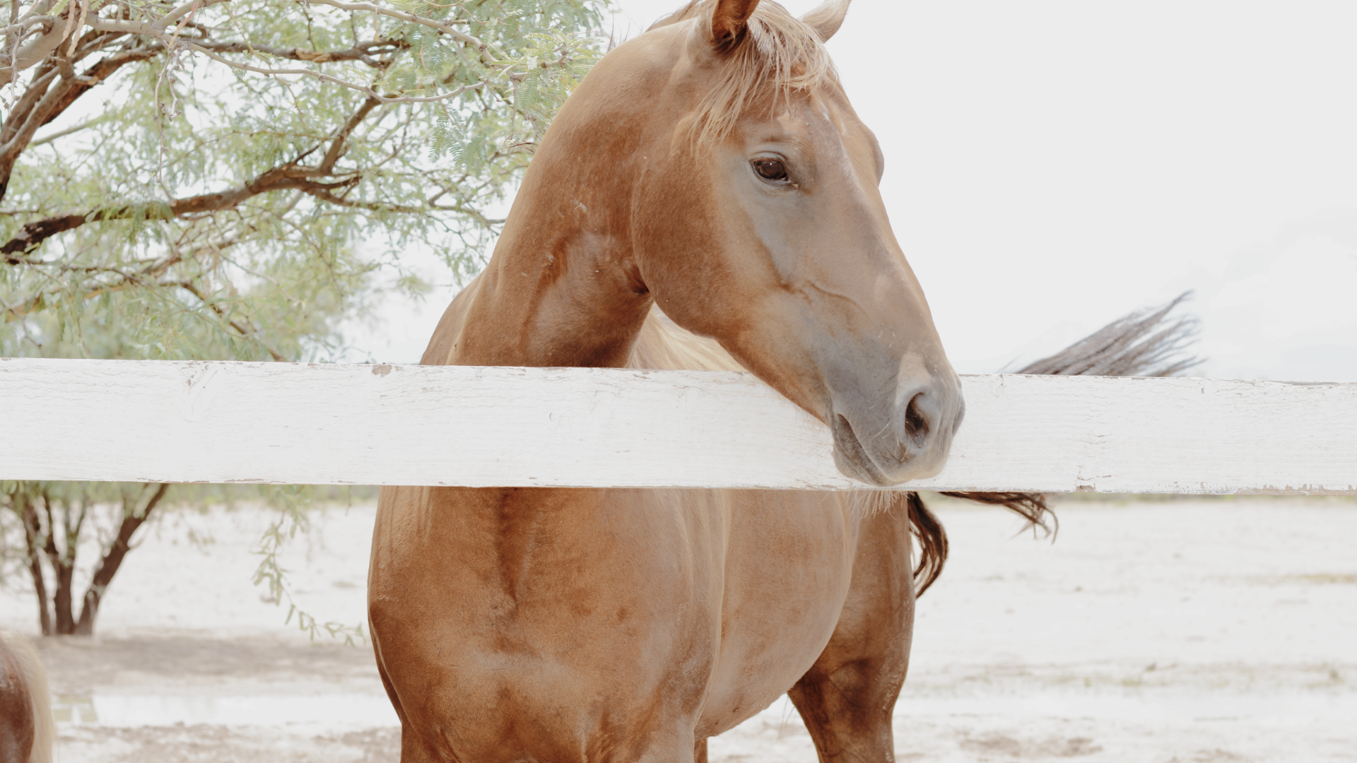 ALN Gallery-7-1