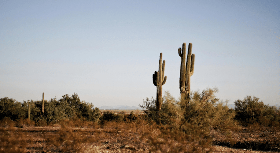 Integrated Adolescent Treatment