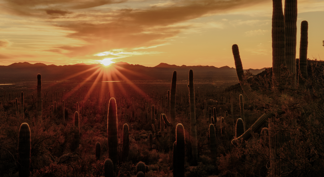 Post-Treatment Planning